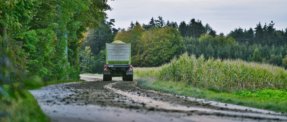 Platz 6 Harald Unglert